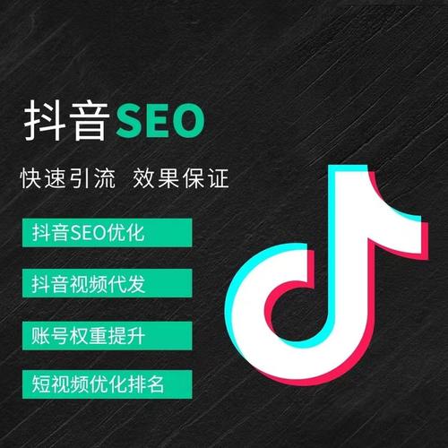 沙文抖音广告