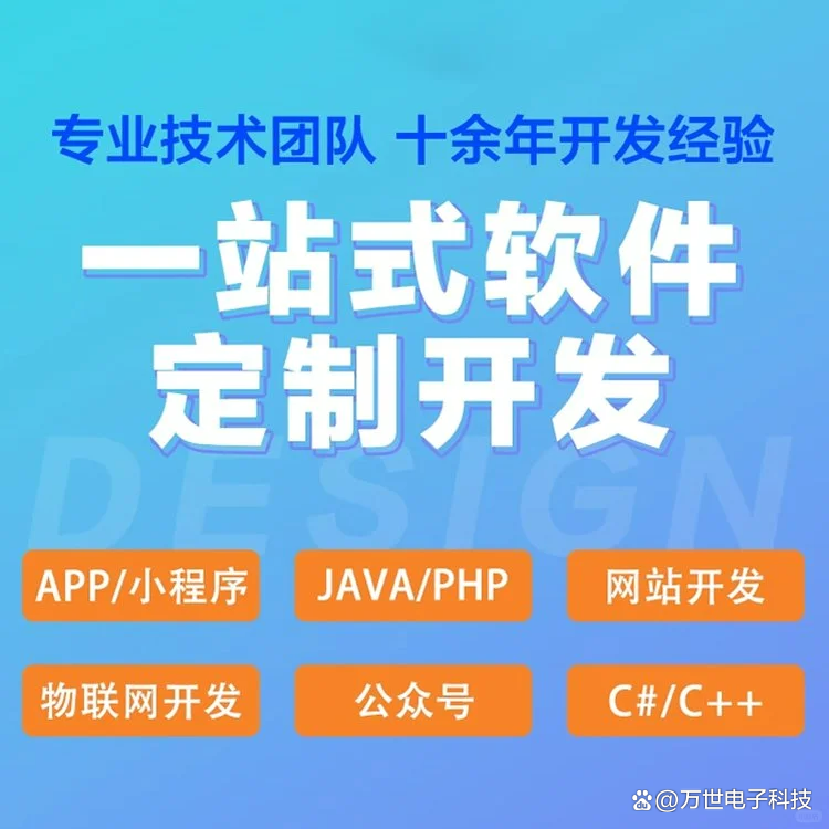 沙文软件开发